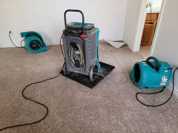 Best Flood restoration services  in Streetsboro, OH
