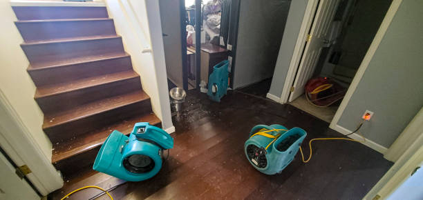 Best Water damage repair service  in Streetsboro, OH
