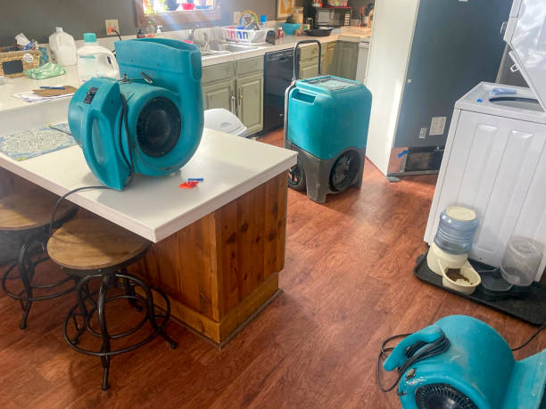 Best Flooded house restoration  in Streetsboro, OH