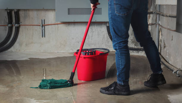 Streetsboro, OH Water damage restoration Pros